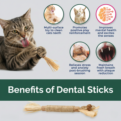 Natural Silvervine Dental Sticks